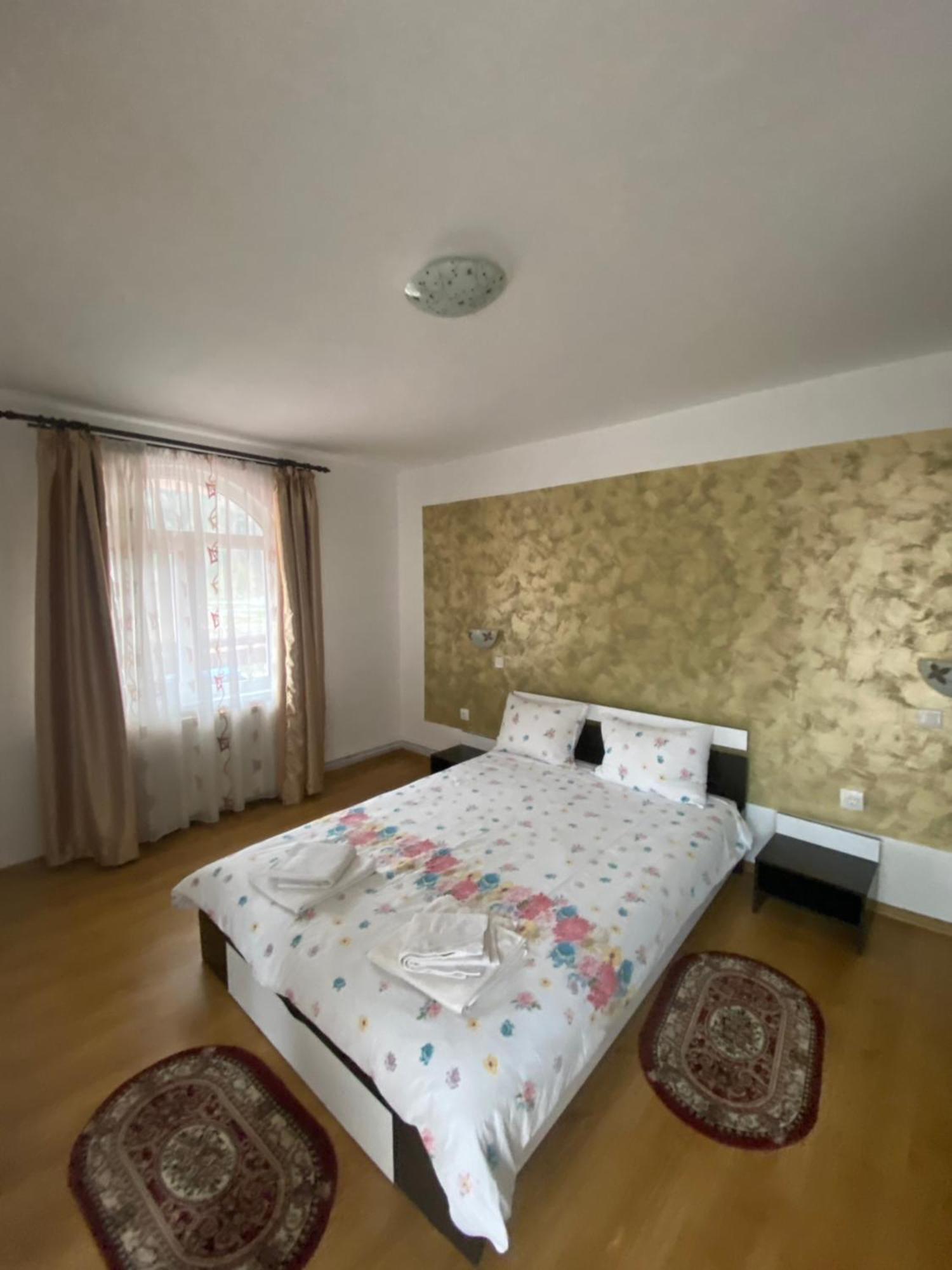 Casa Cristalina&Dumi Guest House Albac Exterior photo